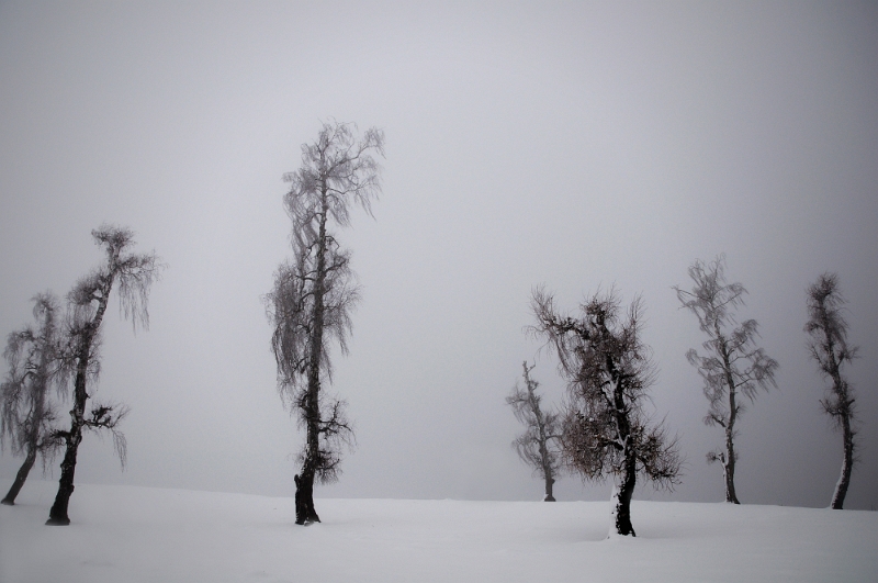 Ionut Hrenciuc - O scenă este lumea.jpg - @ Ionut Hrenciuc